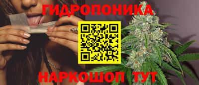 таблы Будённовск